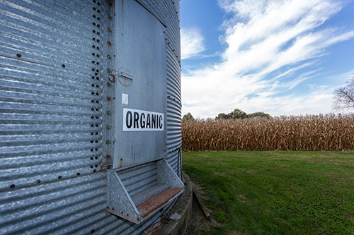 Organic Popcorn Storage
